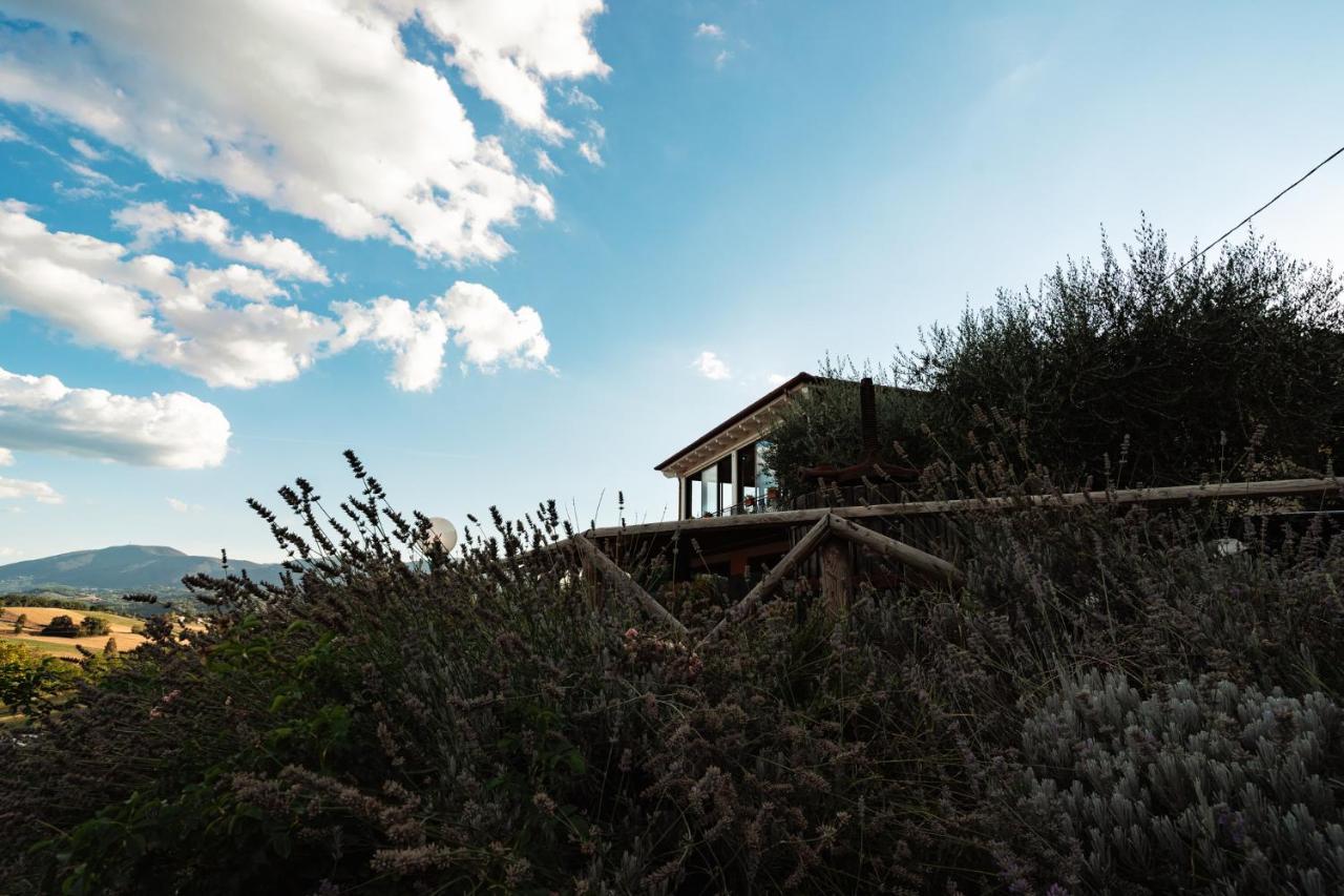 Il Pozzo Country House Collescipoli Kültér fotó