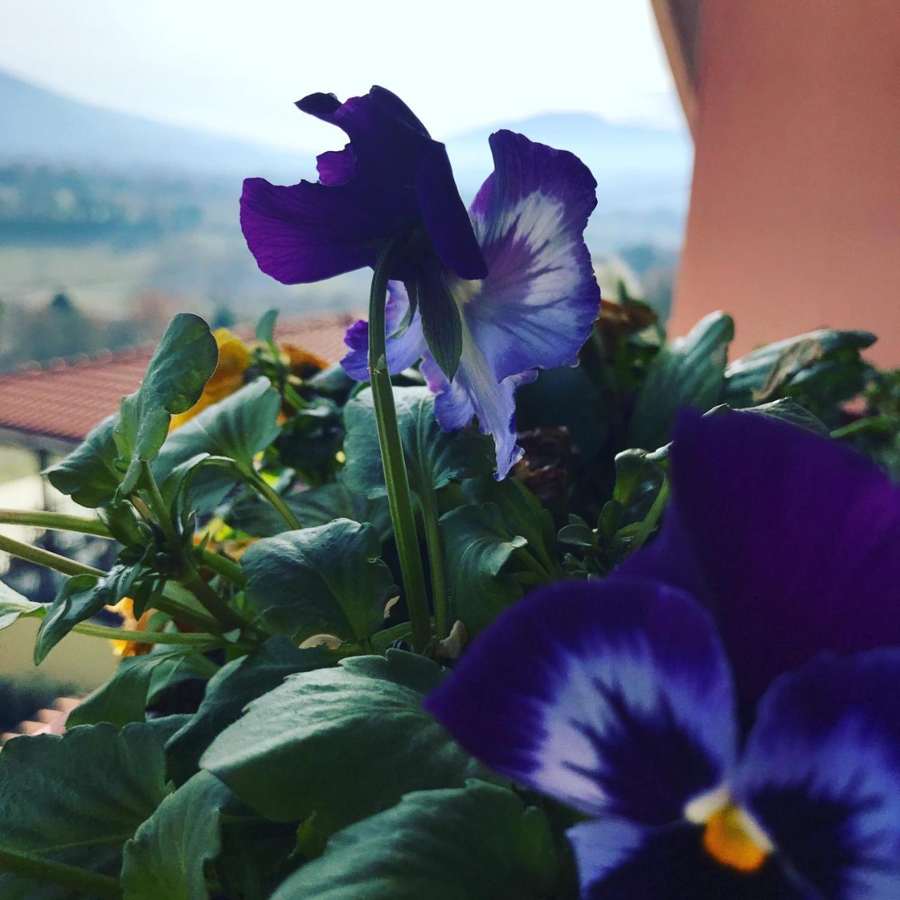 Il Pozzo Country House Collescipoli Kültér fotó